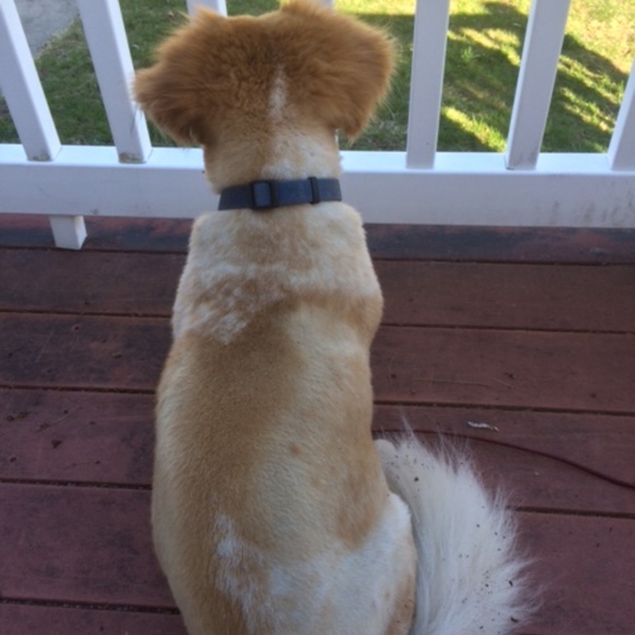 Meet Your Posher, Natalie - Picture 3 of 4